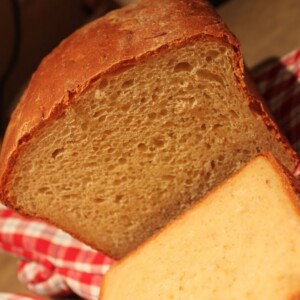 Ricotta, Olive oil Bread on a red check cloth