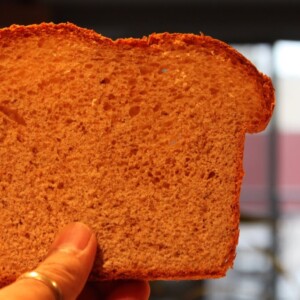 A slice of bread being held up towards camera