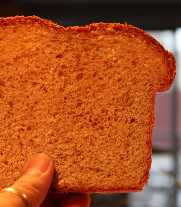 A slice of bread being held up towards camera