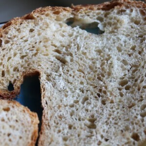 slices of lemony multigrain loaf on a blue plate