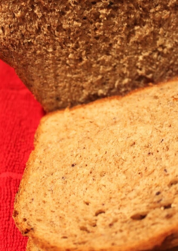 An apple and blueberry wheat loaf on a red work surface