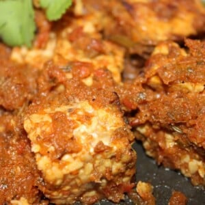 Dhania Fake Chicken served on a black plate with green garnish