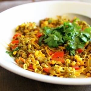 Mung bean sprouts sauteed with spices, served on a white plate