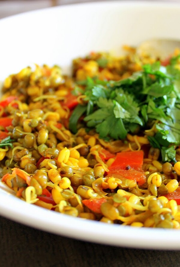 Mung bean sprouts sauteed with spices, served on a white plate