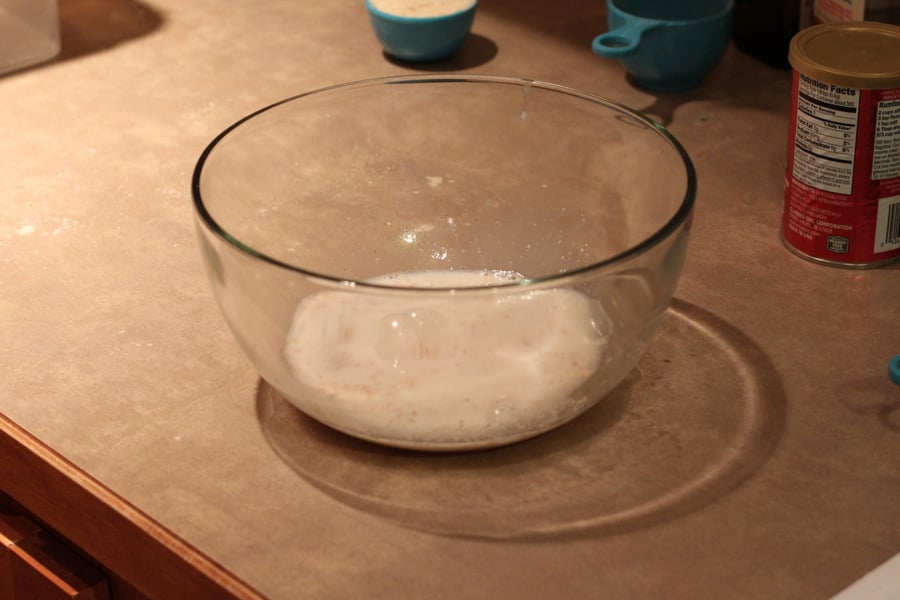 vegan cinnamon rolls yeast being mixed with water, flax meal and sugar to make vegan cinnamon rolls