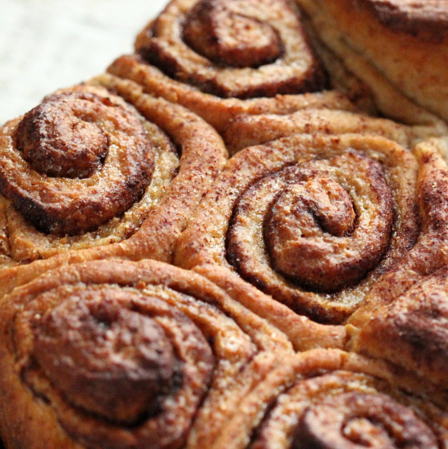 vegan cinnamon rolls close-up of freshly baked vegan cinnamon rolls in a round cake pan