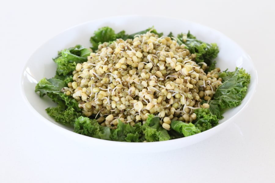 kale salad recipe  massaged kale being topped with sprouted mung beans