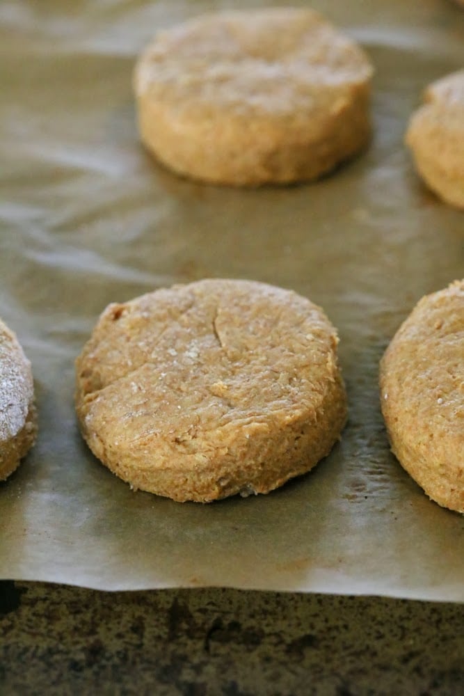 sweet potato biscuits  unbaked sweet potato biscuits on a sheet pan ready to be baked