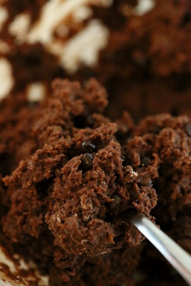 These Vegan Coconut flour brownies are fudgy, moist and perfect for the chocolate craving. No dairy, eggs, gluten, grain, yeast, soy or nut | VeganRicha.com #vegan #glutenfree #brownie