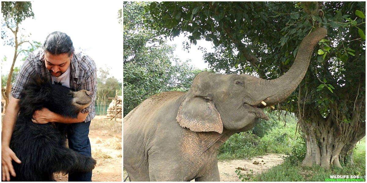 2014_01_07 White Bean Quesadilla25