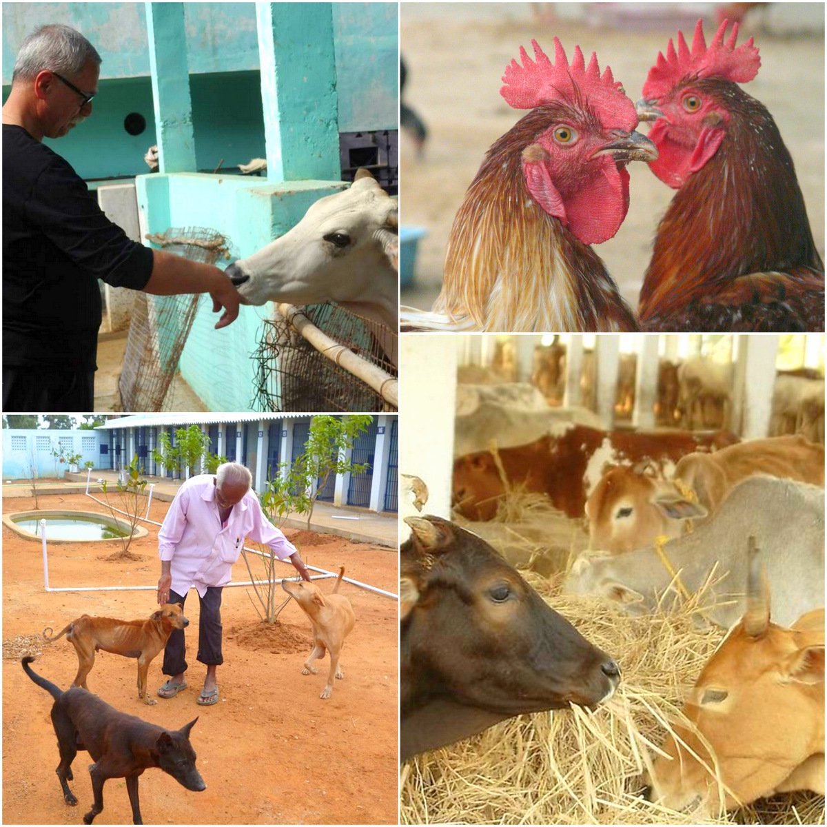 2014_01_07 White Bean Quesadilla27