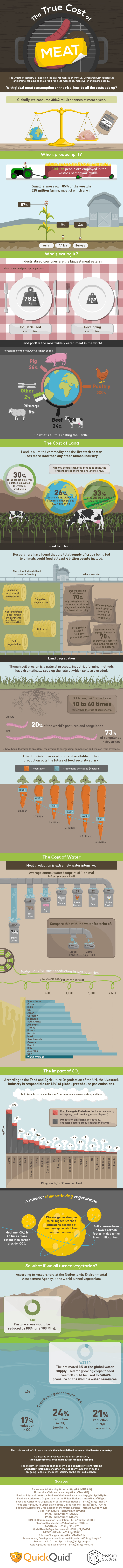 True Cost of Meat