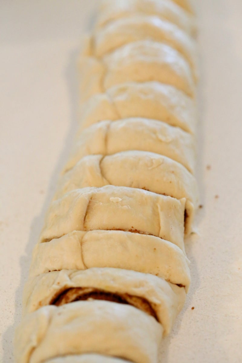 Easy Homemade 1 hour Cinnamon Rolls. Vegan Cinnamon Rolls with Cashew cream frosting. Ready in 60 minutes. Vegan Soy-free Palm Oil free Breakfast Recipe | VeganRicha.com