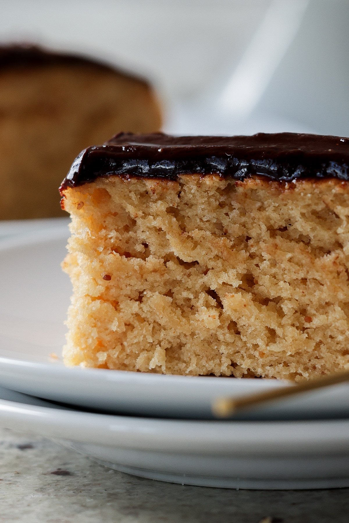 close-up of slice of peanut butter cake with chocolate peanut butter glaze