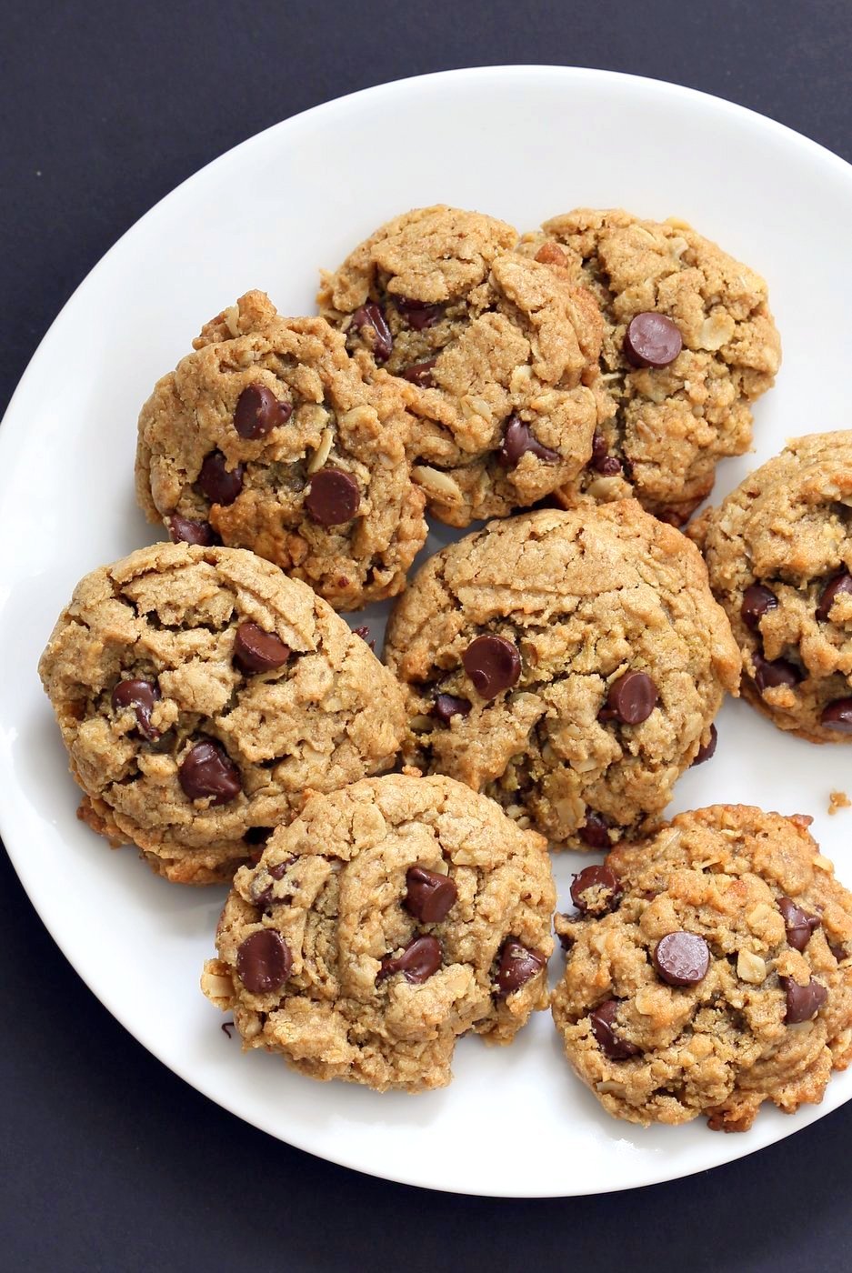 Oatmeal Chocolate Chip Sunbutter Cookies. 1 Bowl Cinnamony Sunflower seed butter Oatmeal Cookies. These Soft Cookies come together really quickly and make a great snack or treat. Vegan Nut-free Recipe. Can be Gluten-free | VeganRicha.com