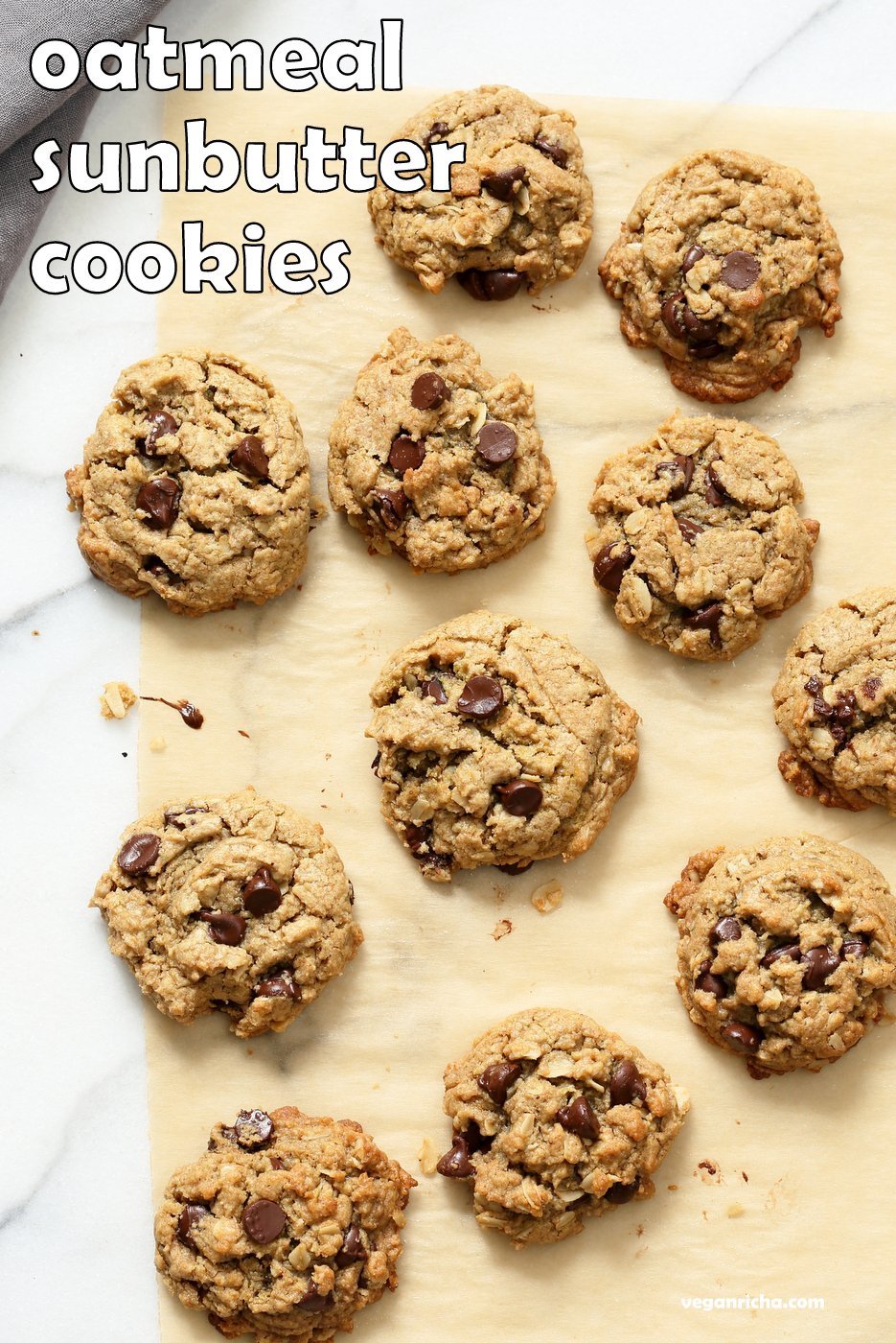 Oatmeal Chocolate Chip Sunbutter Cookies. 1 Bowl Cinnamony Sunflower seed butter Oatmeal Cookies. These Soft Cookies come together really quickly and make a great snack or treat. Vegan Nut-free Recipe. Can be Gluten-free | VeganRicha.com