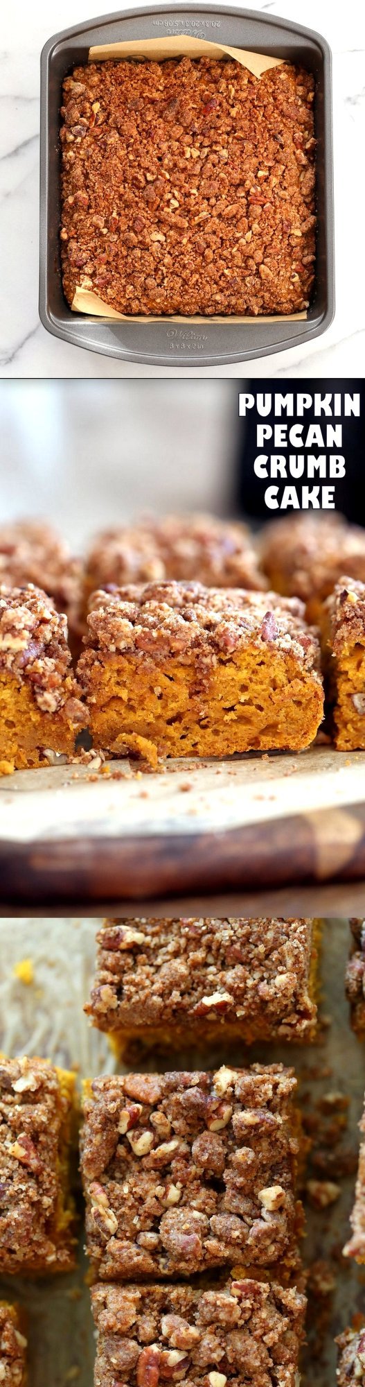 Vegan Pumpkin Coffee Cake with Pecan Crumb. Easy 1 Bowl Pumpkin Cake, topped with Chai Spice Pecan Streusel. Just 15 mins prep. Soft, Spiced, Delicious. Vegan Soy-free Recipe. | VeganRicha.com