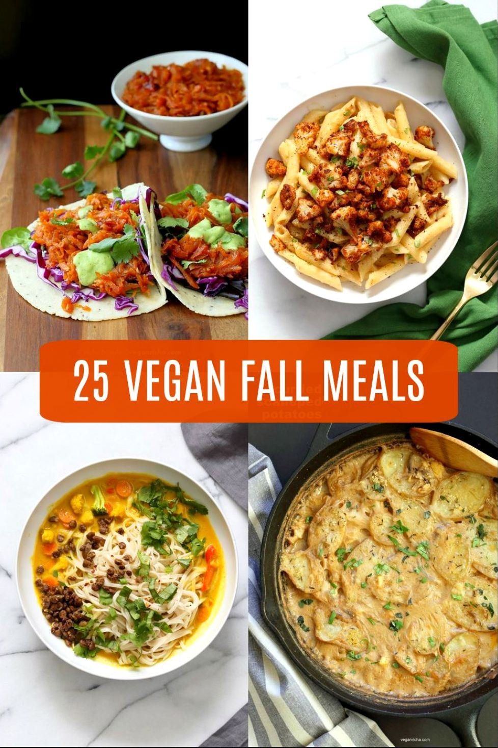 25 Vegan Fall Meals for a chilly day!ย Casseroles, chilis, gratins, pot pies, soups, and curries. Many are 1 Pot meals. Vegan Fall Recipes. Gluten-free Soy-free options. #veganricha