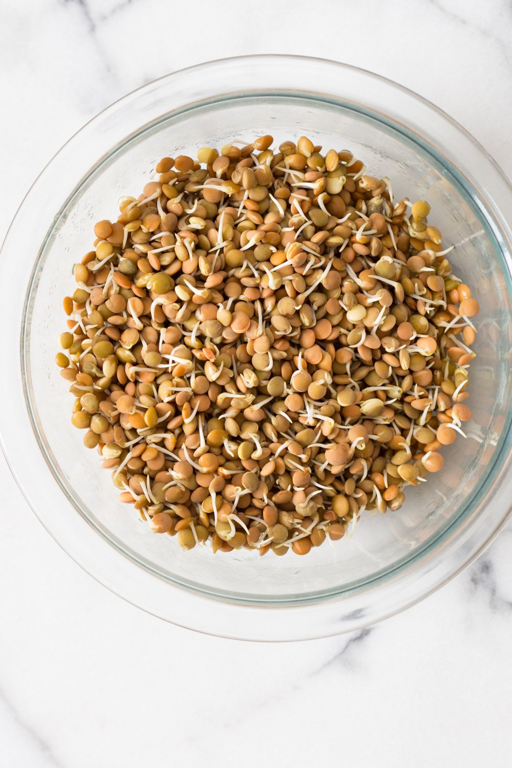 Ginger Coriander Sprouted Lentils Avocado Toast. Sprout Lentils or Mung Beans, Lightly saute with ginger, onion and tomato and serve over Mashed Avocado Toast. 16 Gm of Protein #Vegan #veganricha #Nutfree #Soyfree #Recipe | VeganRicha.com