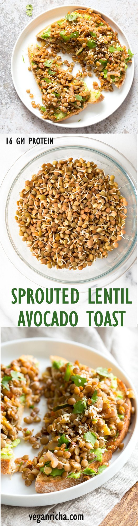 Ginger Coriander Sprouted Lentil Avocado Toast. Sprout Lentils of Mung Beans, Lightly saute with ginger, onion and tomato and serve over Mashed Avocado Toast. #Vegan #veganricha #Nutfree #Soyfree #Recipe | VeganRicha.com