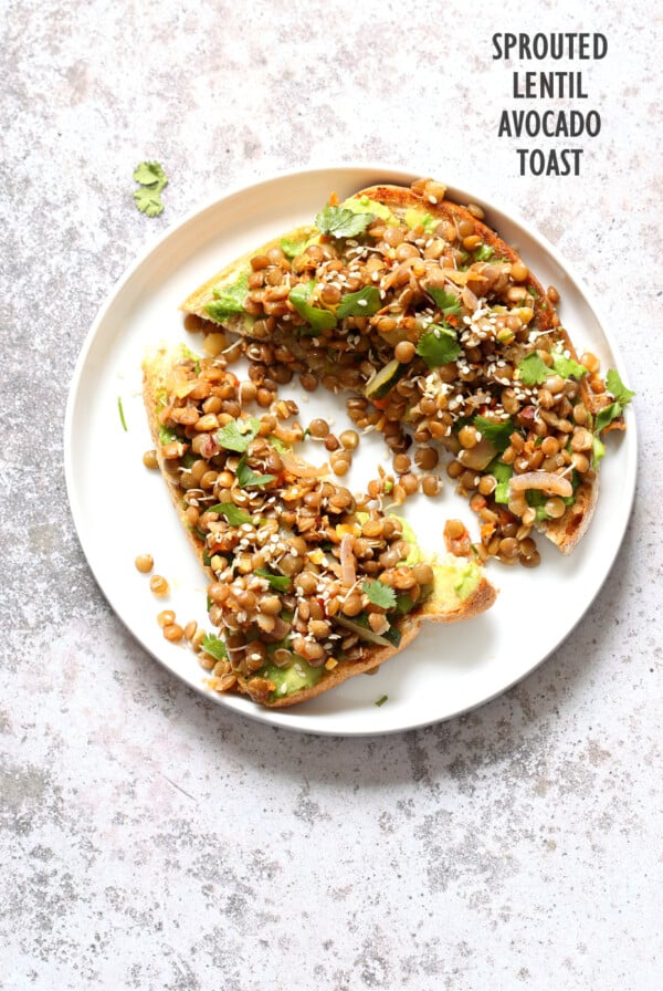 Ginger Coriander Sprouted Lentil Avocado Toast. Sprout Lentils of Mung Beans, Lightly saute with ginger, onion and tomato and serve over Mashed Avocado Toast. #Vegan #veganricha #Nutfree #Soyfree #Recipe | VeganRicha.com