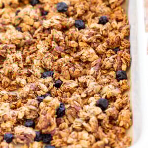 This Date Caramel Maple Pecan Granola is lightly sweet and perfect for any time. Pecans, Oats, coconut, pumpkin and chia seeds and dried blueberries tossed in date caramel and baked to perfection. #Vegan #Granola #Glutenfree #Soyfree #Recipe #VeganRicha Can be nutfree.