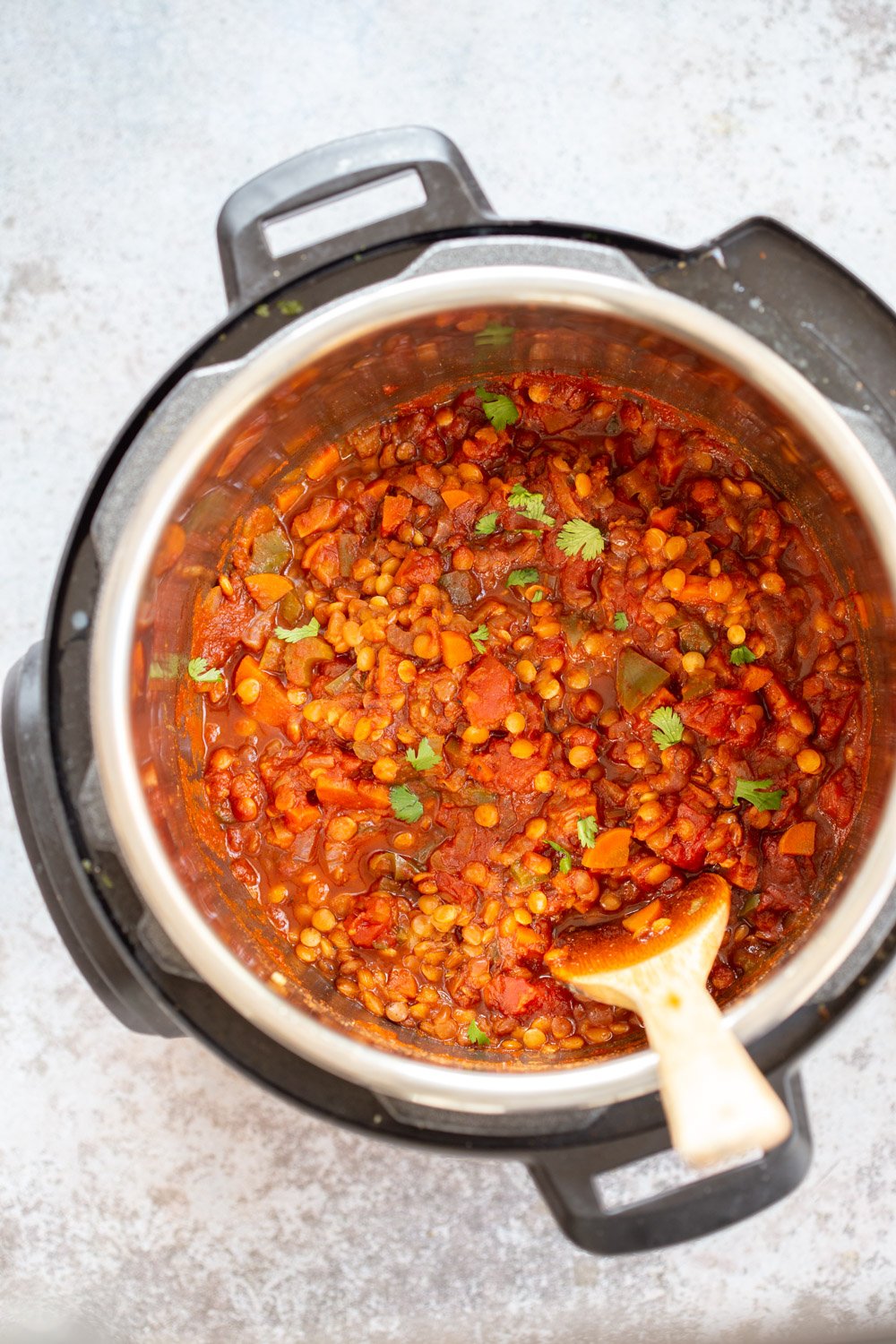 Our Vegan Lentil Sloppy joes in an Instant Pot Pressure Cooker