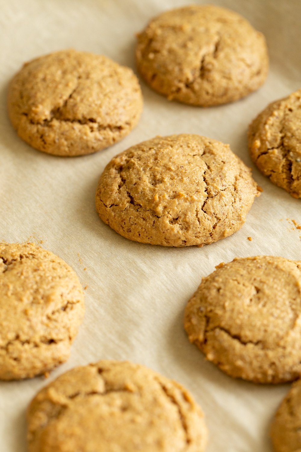 Our Chai Spice Tahini Cookies Nut free on parchment lined sheet