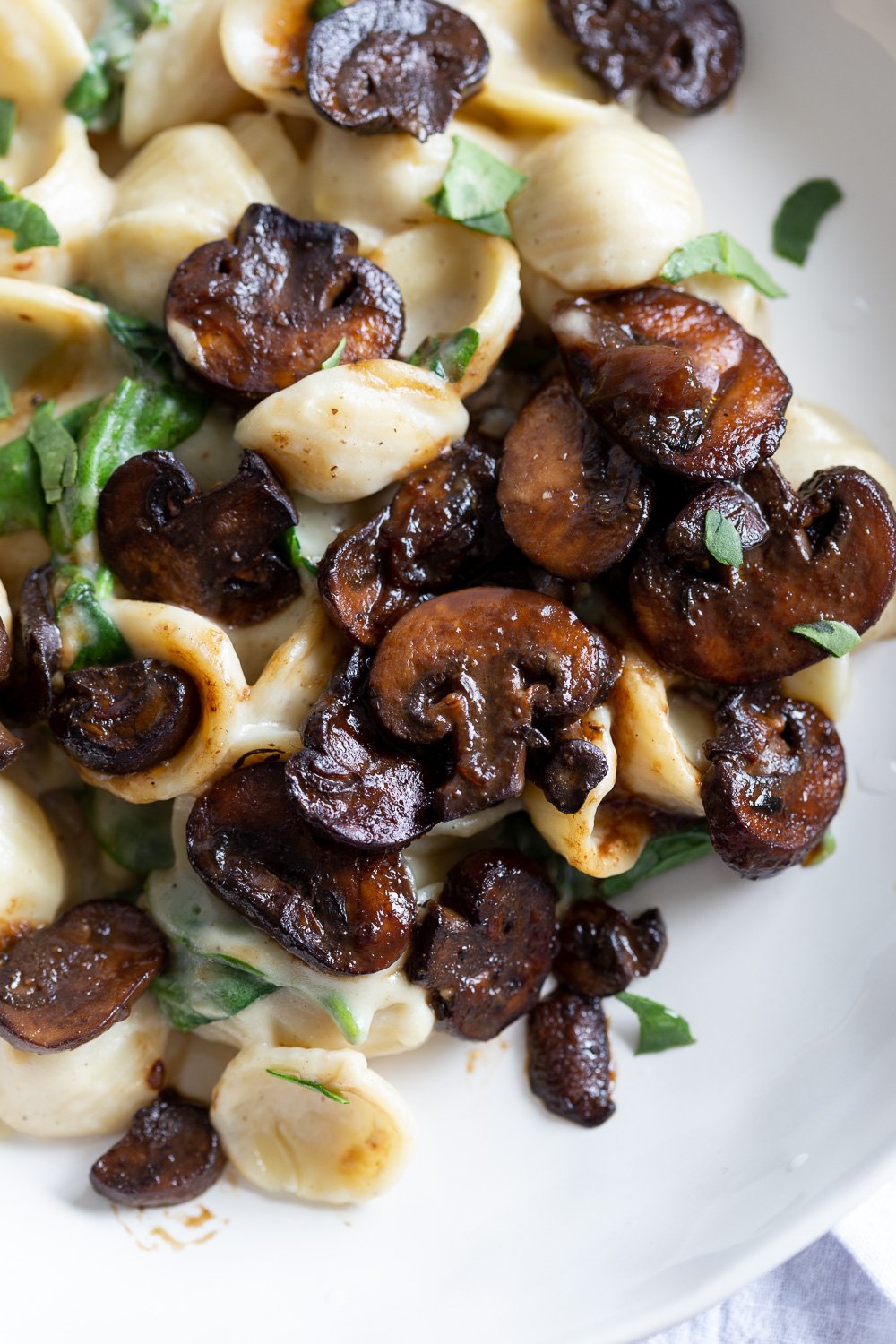 recipe for spinach pasta close-up of a plate of pasta with mushrooms and spinach