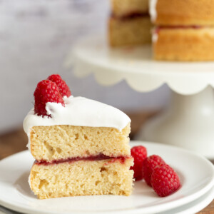 side view of a slice of vegan white cake filled with raspberry jam
