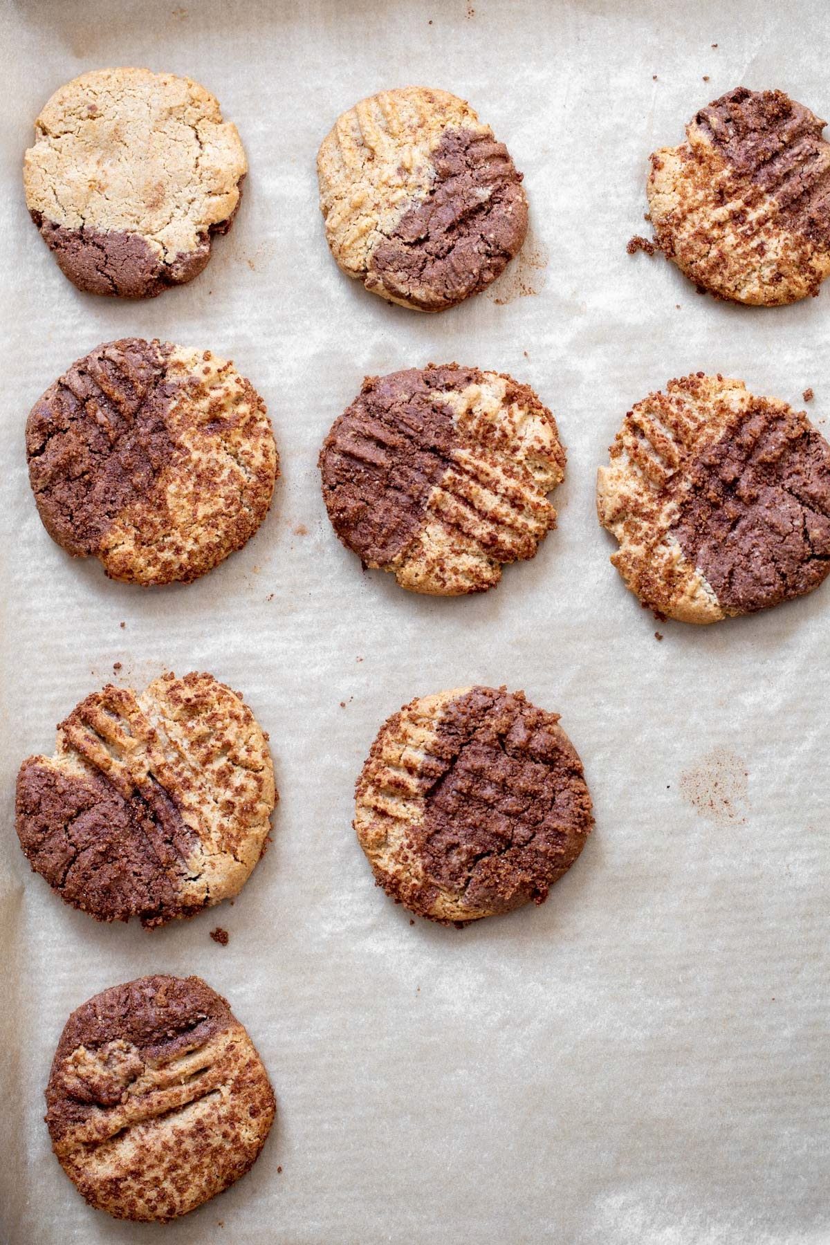 vegan snickerdoodles freshly baked batch of vegan chocolate pumpkin pie spice snickerdoodles