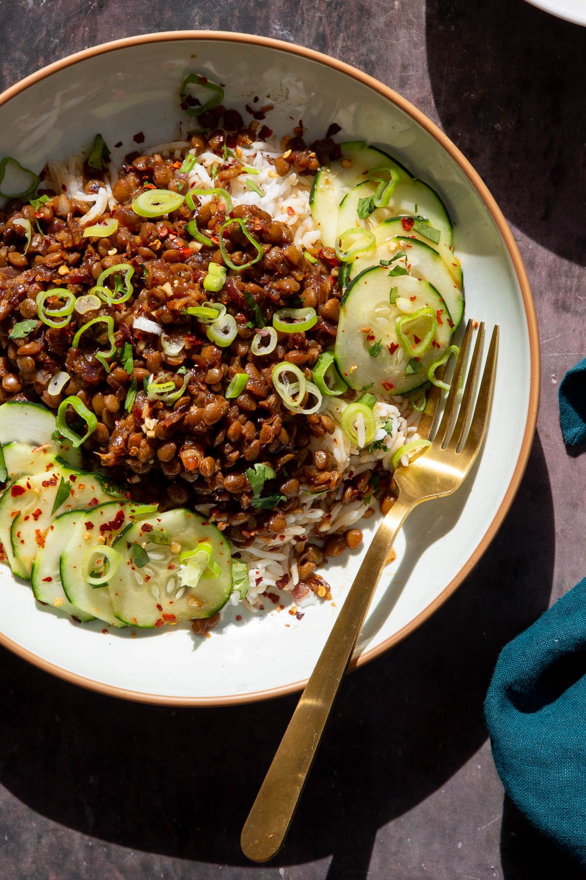 vietnamese vegan caramelized lentils served over rice