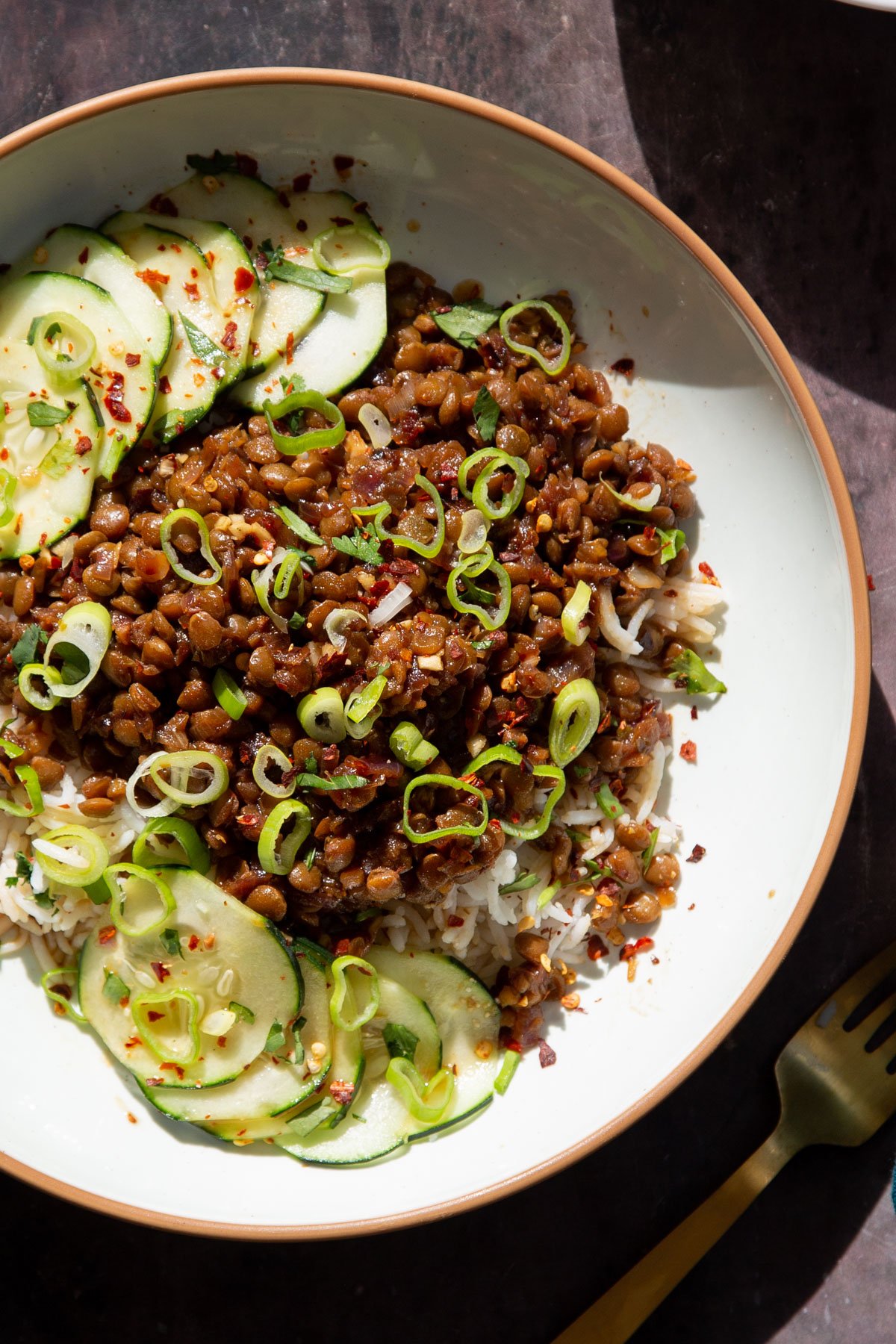 a bowl of vegan caramelized lentils served with rice and cucumbers