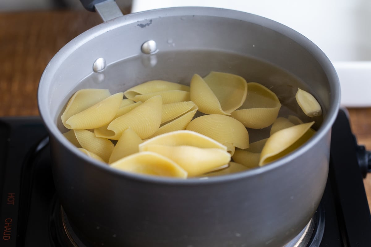 pasta shells in a pot with water