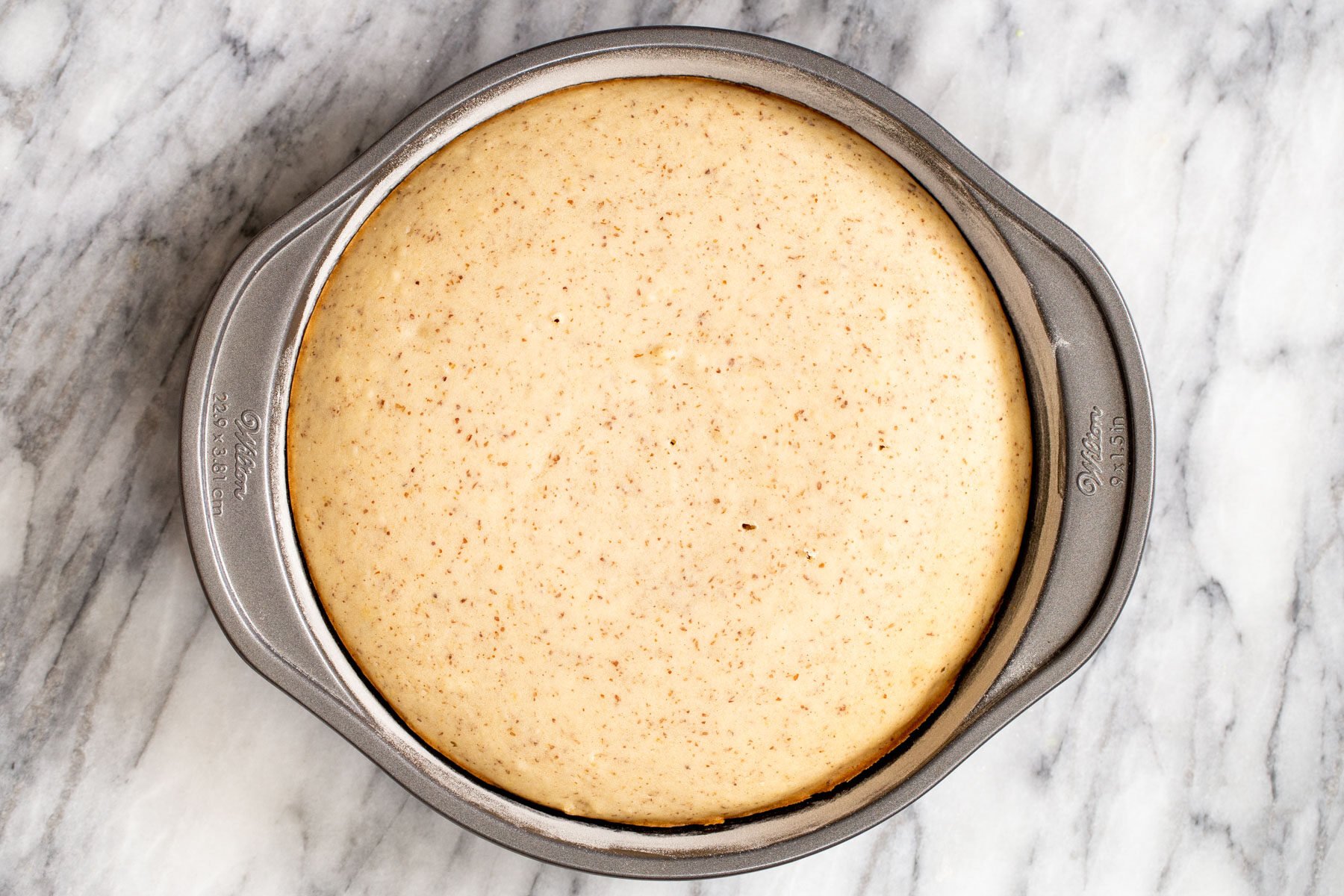 freshly baked sponge cake in a springform pan