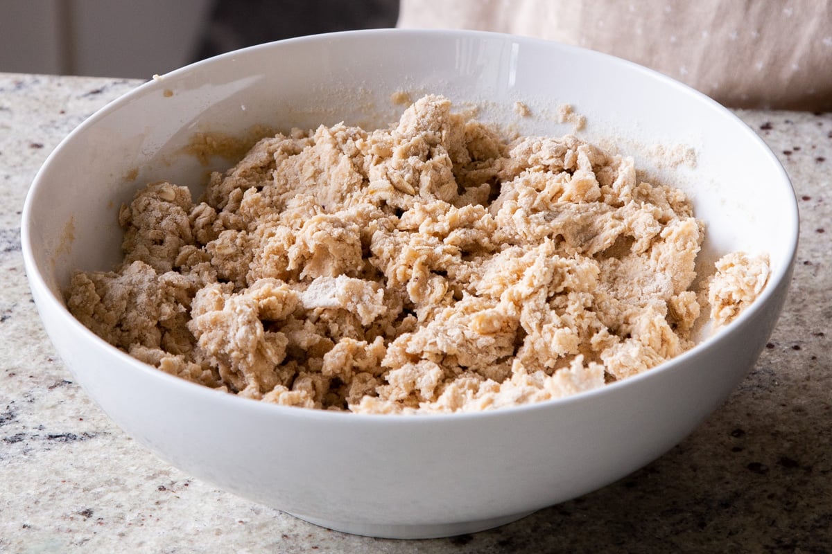 paratha dough after mixing, but before kneading
