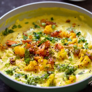 side photo of vegan kadhi pasta with veggies, so you can see the texture of the veggies