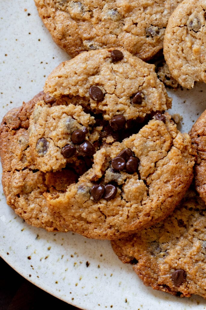 close-up of peanut butter cookies with chocolate chips on a plate, cookie is broken apart, so you can see the inside