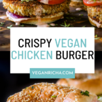 photos of the vegan chicken sandwich, text overlay