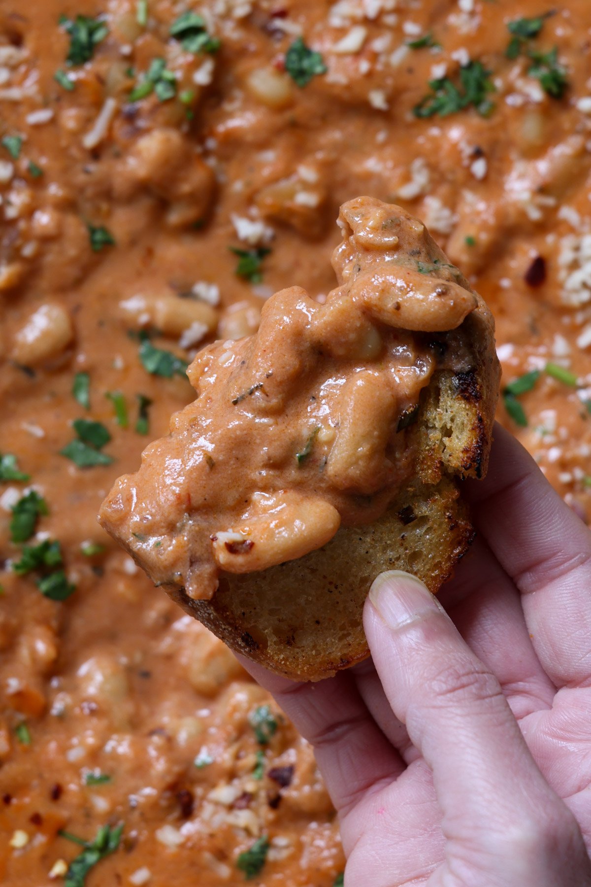 close up of rosé sauce beans on sourdough bread