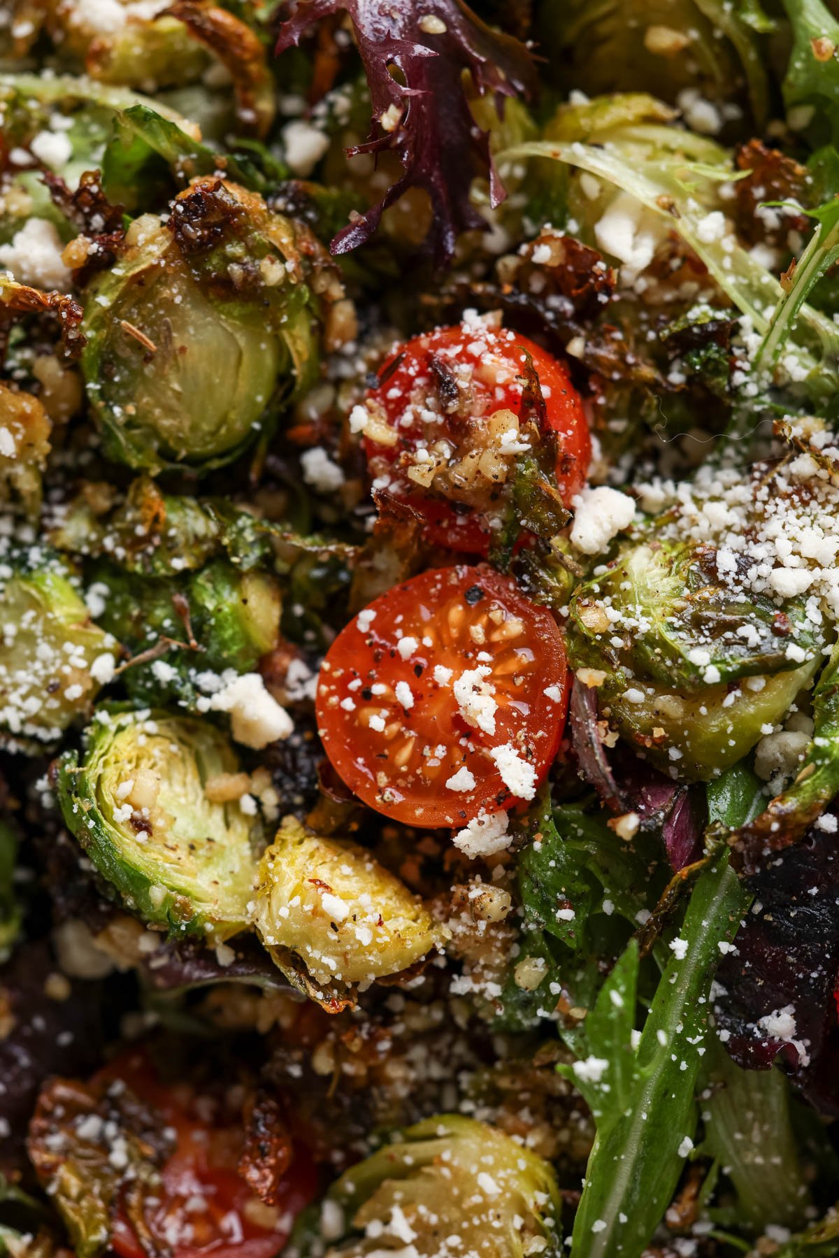 extreme close-up of shaved Brussels sprouts salad