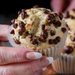 hand holding a chocolate chip muffin