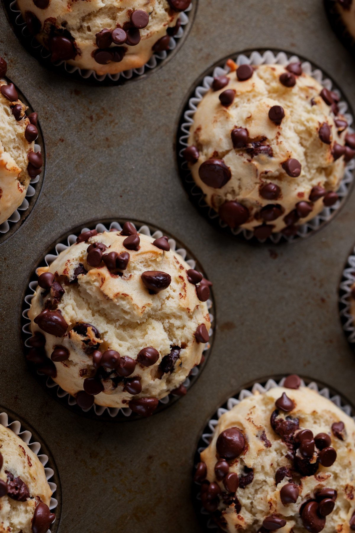 chocolate chip muffins in the baking pan after baking
