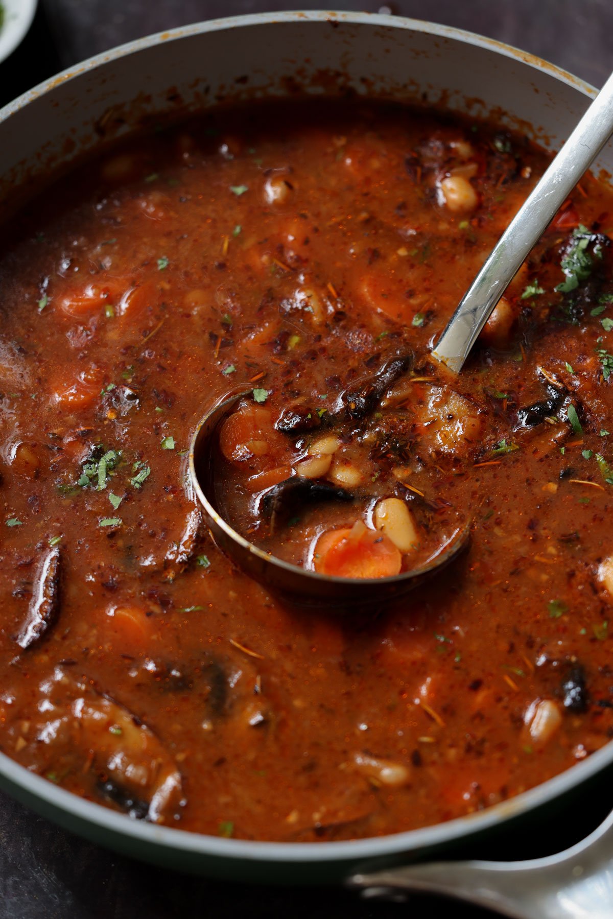 pot of veggie bean stew with a ladle in it