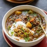 lentil potato soup in the bowl with toppings