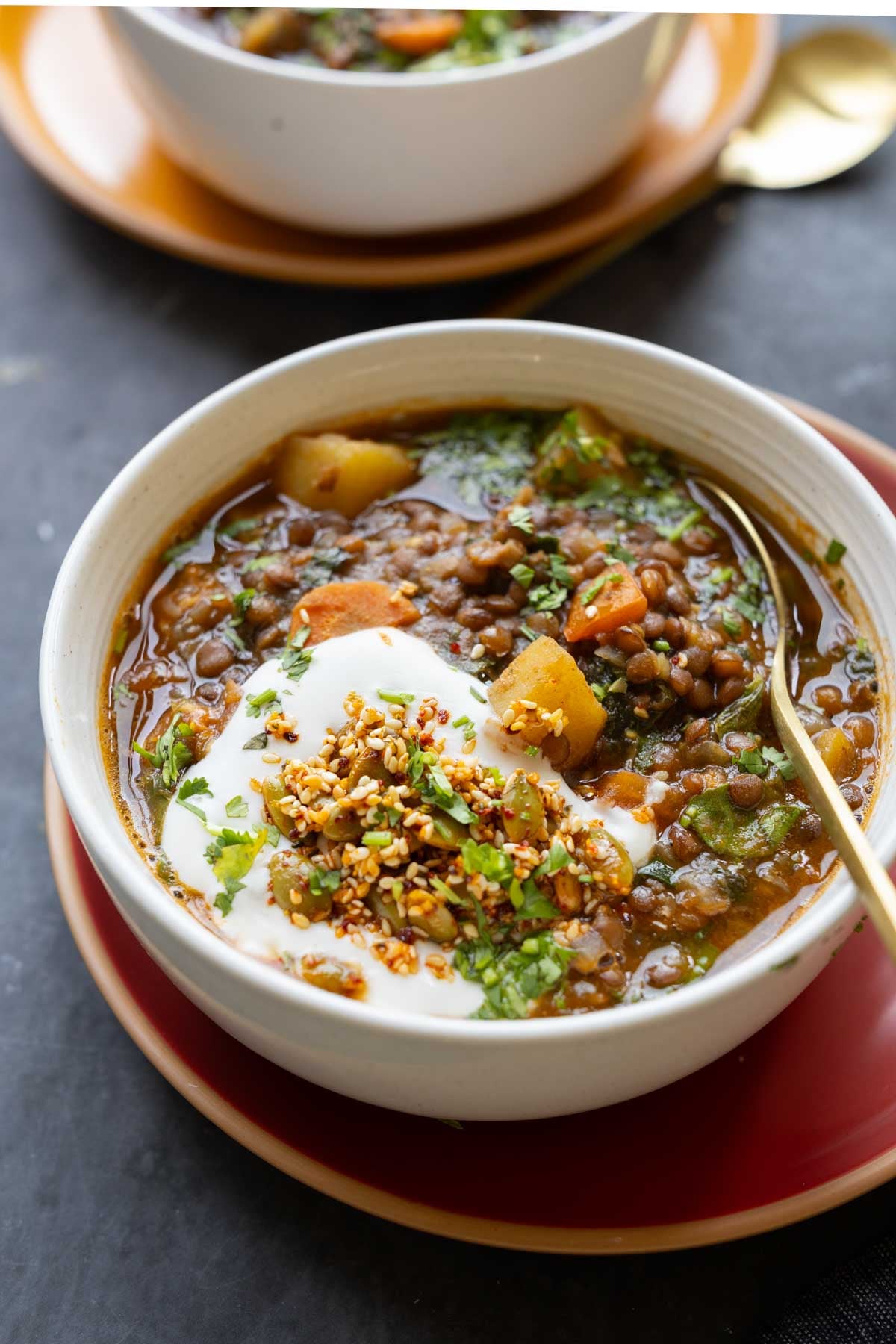 lentil potato soup in the bowl with toppings